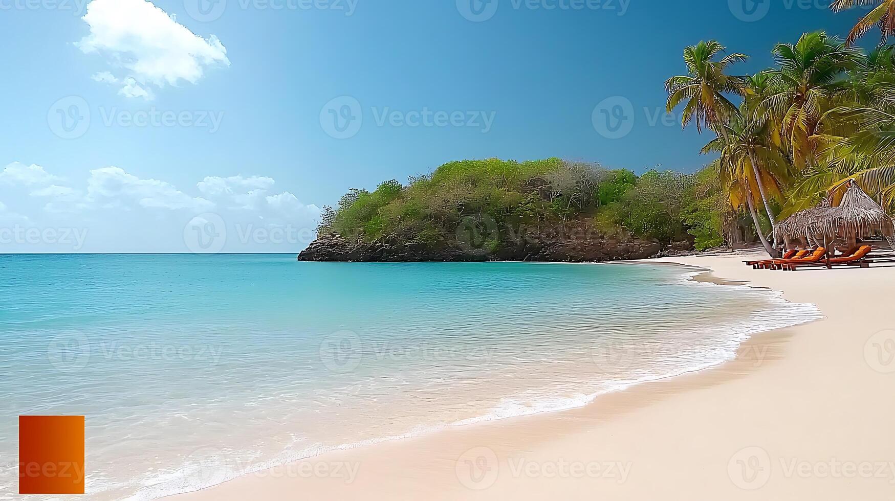 A beach with palm trees and a white sand beach photo