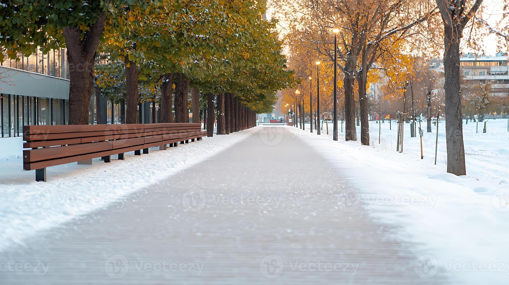 A walkway lined with trees and benches covered in snow photo