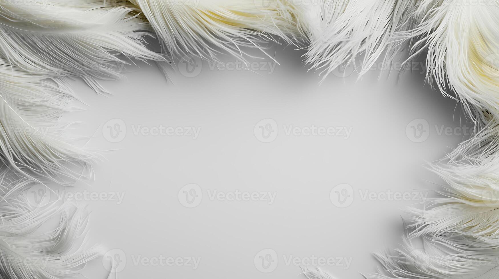 White feather background with copy space photo