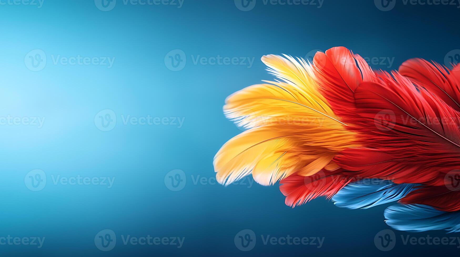 Colorful feathers on a blue background photo