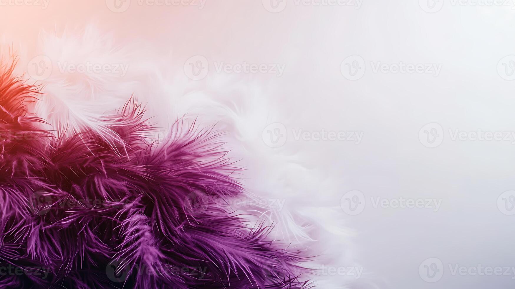 A close up of a purple and white feather photo