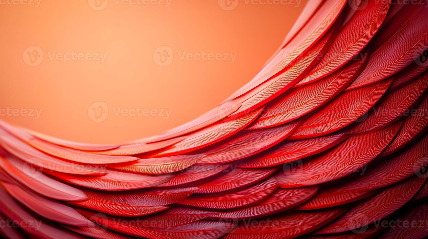 A red winged bird with a curved wing photo