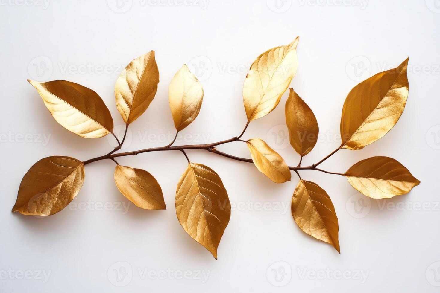 Golden leaves arranged on white background photo