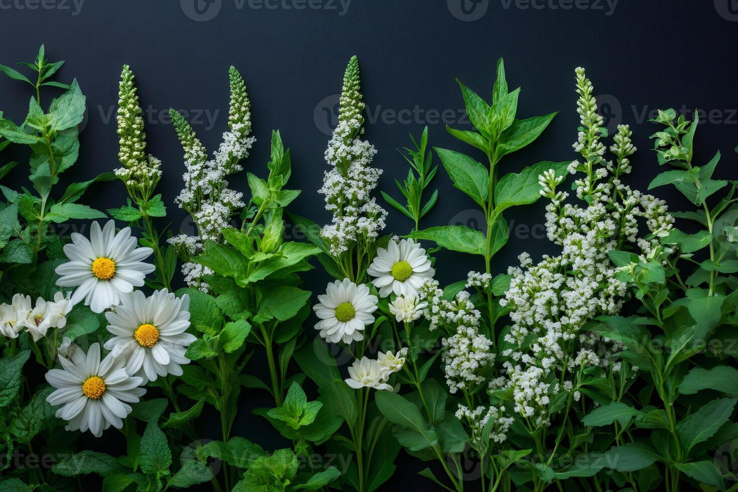 Lush arrangement of daisies and greenery on dark background photo
