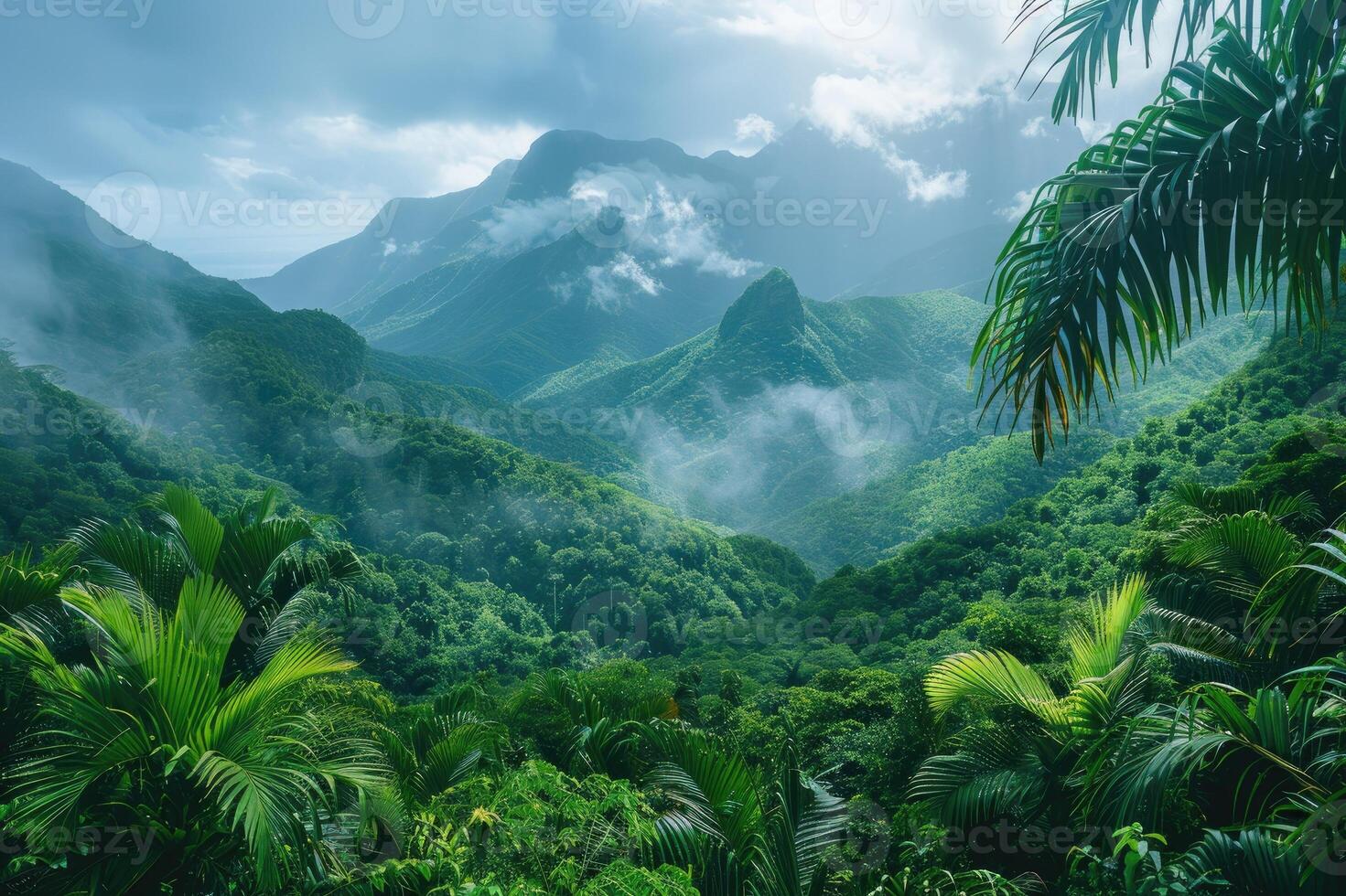 Tropical jungle with mountains and clouds photo