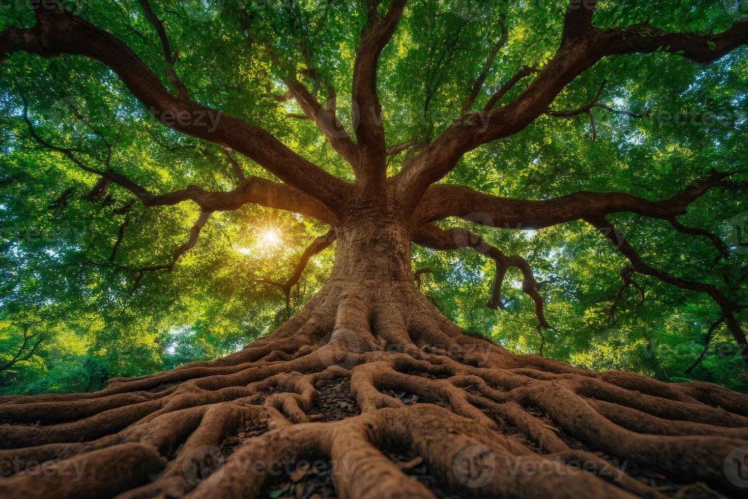 Majestic tree showing its extensive root system in nature photo