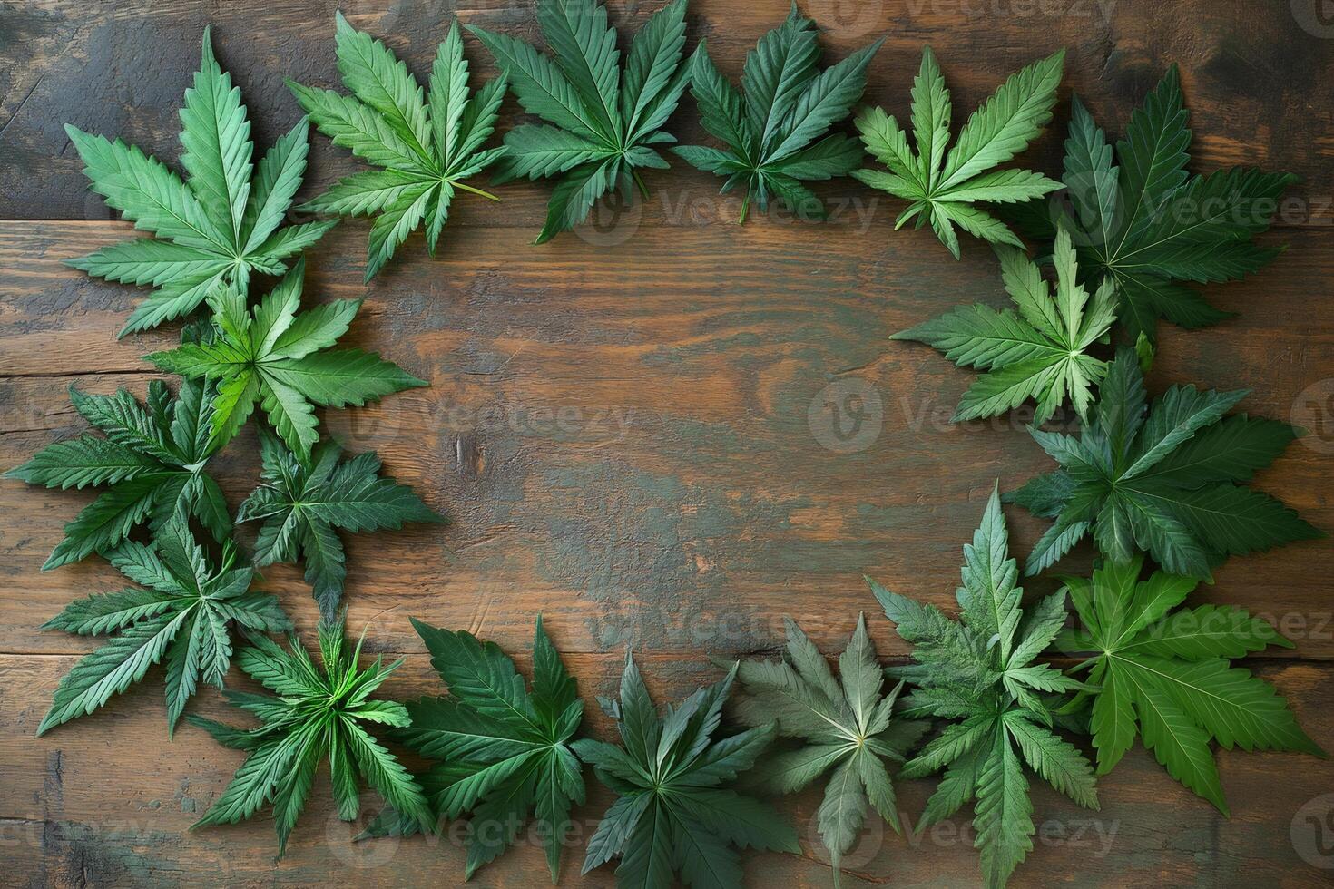 Frame of cannabis leaves forming a rectangular shape over wooden background photo
