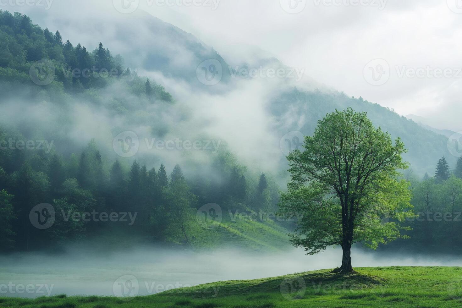Lonely tree standing on lake shore with fog rolling over hills photo