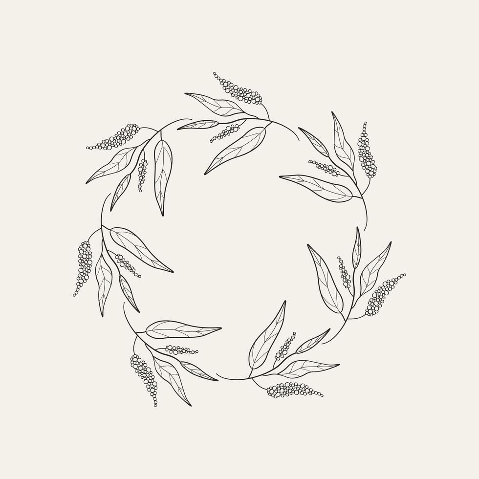 Frame background with black allspice for text. Hand drawn border with sketch of pepper spice with branch, leaves and fruits of tropical tree Pimento officinalis. Food ingredient, health, aroma vector