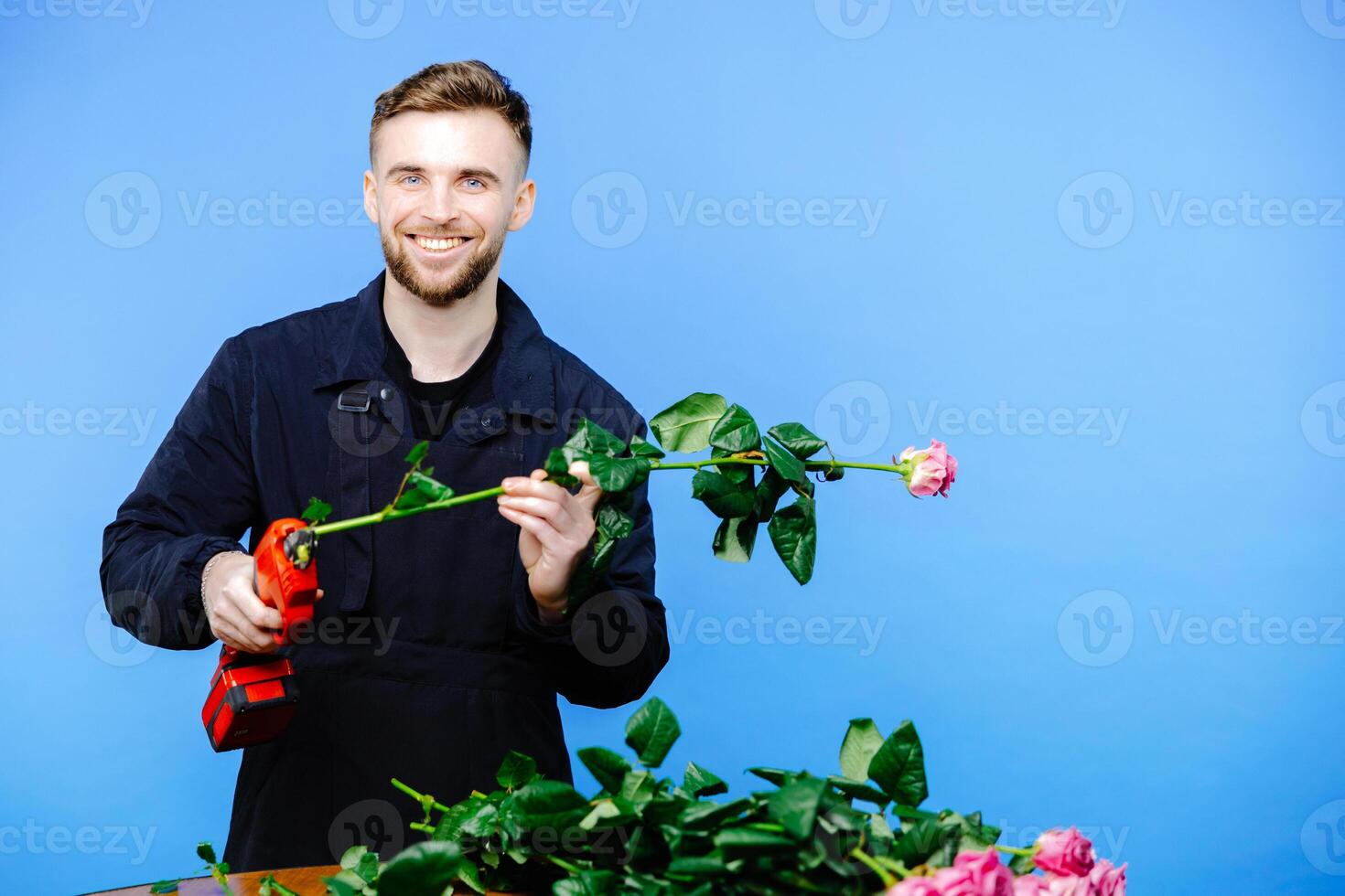 Man in apron cuts off the ends of rose on blue background photo