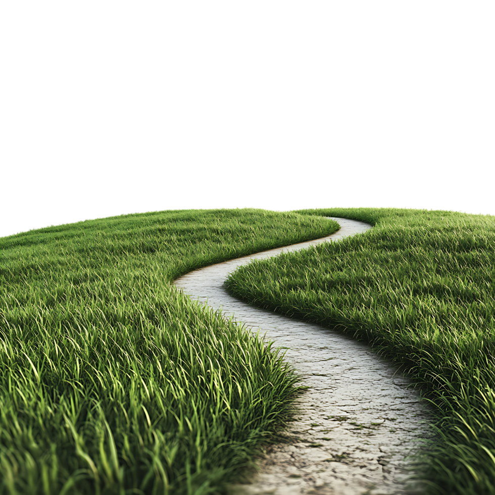Winding Road Through Lush Green Grass Against Transparent Background for Travel-Themed Graphics, Scenic Illustrations or Eco-Friendly Branding png