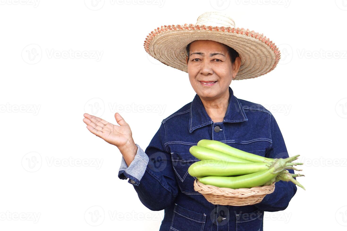Happy Asian senior woman farmer holds basket of green eggplants, make hand gesture to present, isolated on white background. Concept, agriculture lifestyle. Home grown crops for healthy eating. photo