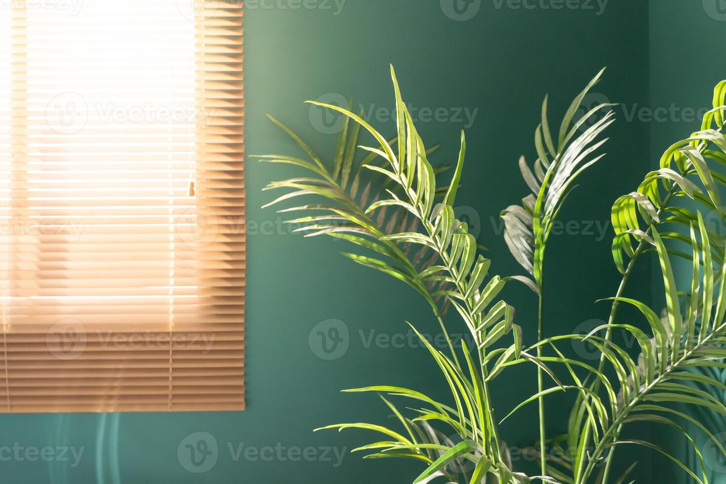 Lush Green Plants and Warm Ambient Light in a Contemporary Modern Interior Space photo
