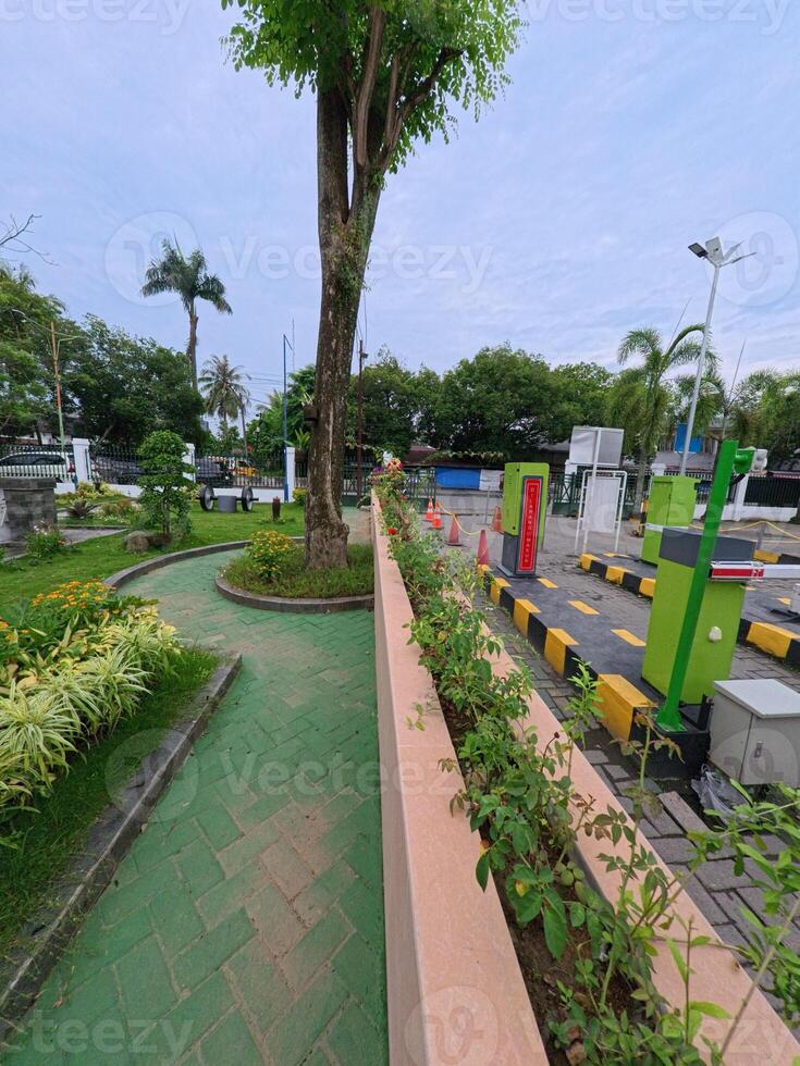Urban Garden Pathway with Tree and Flowers photo