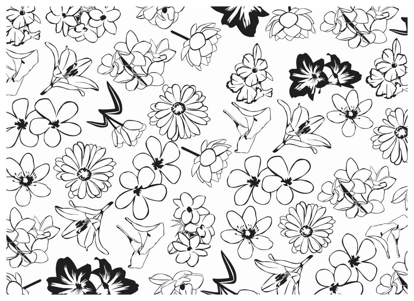Intricate Floral Pattern in Line Art png