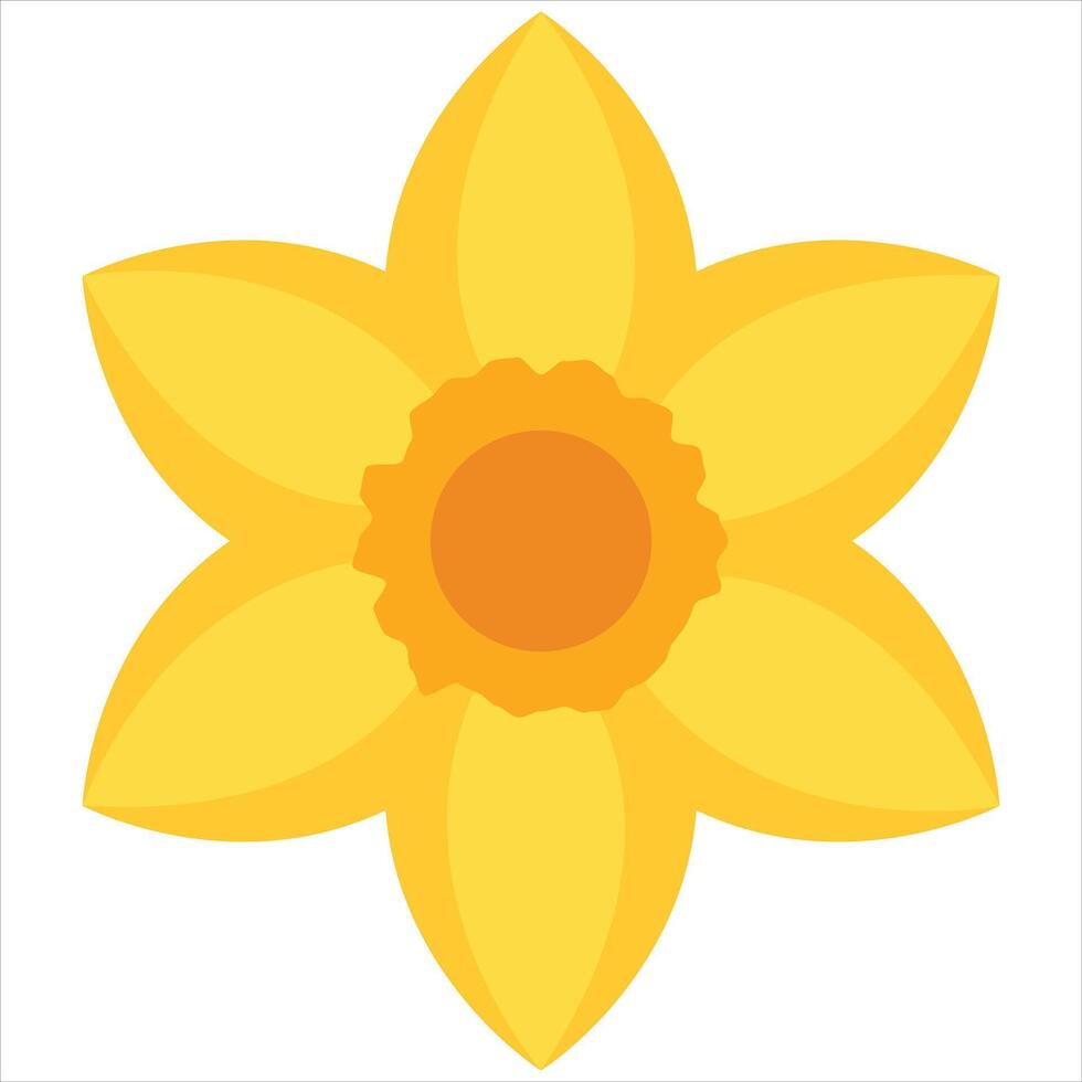 Illustration of daffodil flower vector