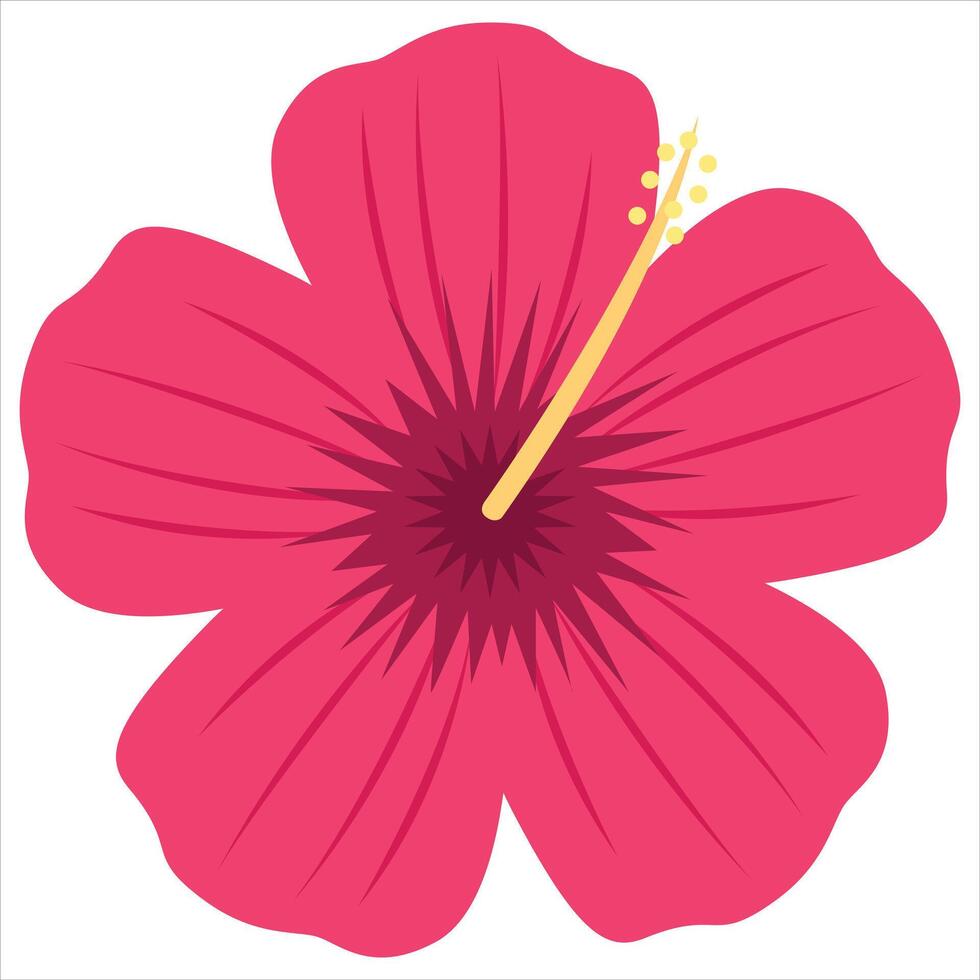 Pink hibiscus flower for nature, beauty, floral, garden, summer, tropical, and botanical design projects, backgrounds, and decorations. vector