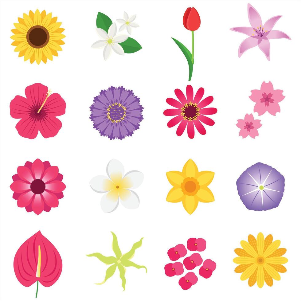 A vibrant collection of 16 various flowers, perfect for floral enthusiasts, gardeners, nature lovers, botanists, and greeting card designers. vector