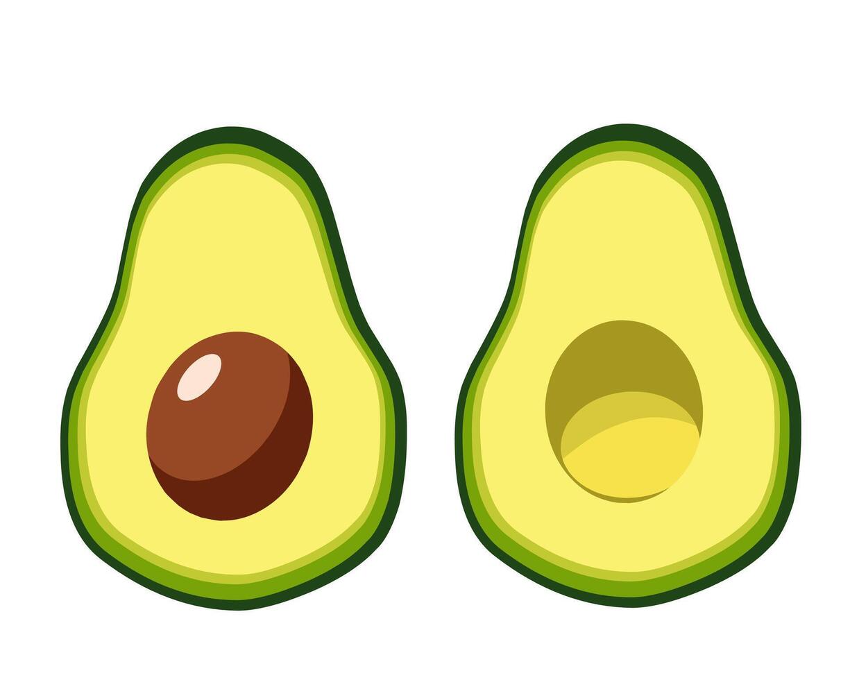 Fresh avocado illustration featuring two halves, one with a seed. Perfect for food designs, healthy eating, vegan concepts, menus, and organic branding vector