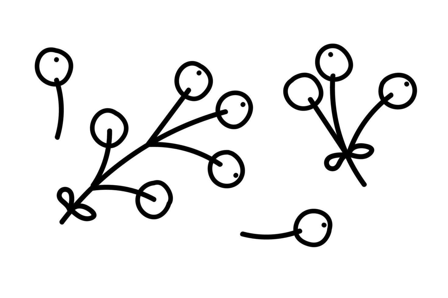 Simple line drawing of abstract plant branches with circular buds vector