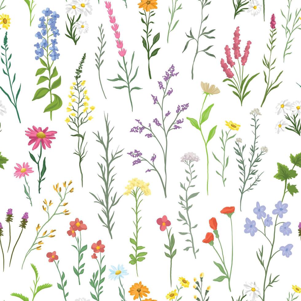Seamless pattern with wild flowers, plants and herbs vector