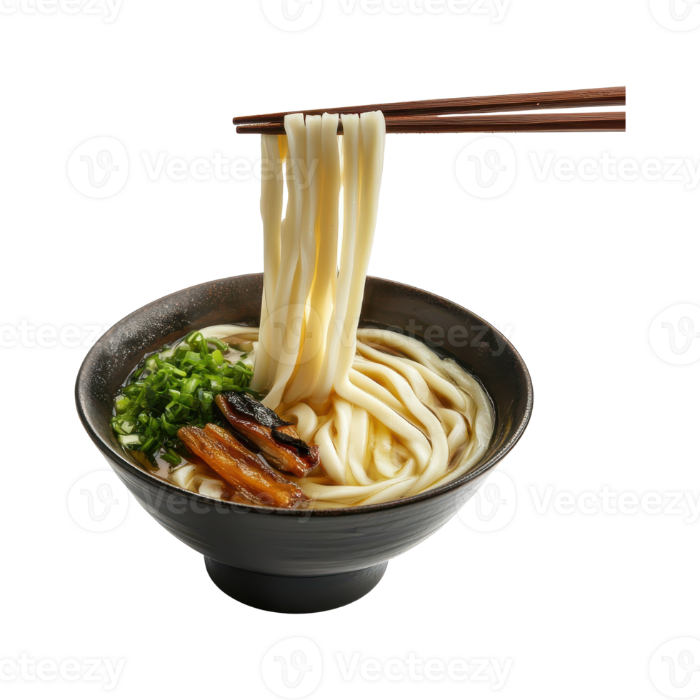 Steaming Bowl of Majestic Kyoto Style Udon Noodles with Chopsticks png
