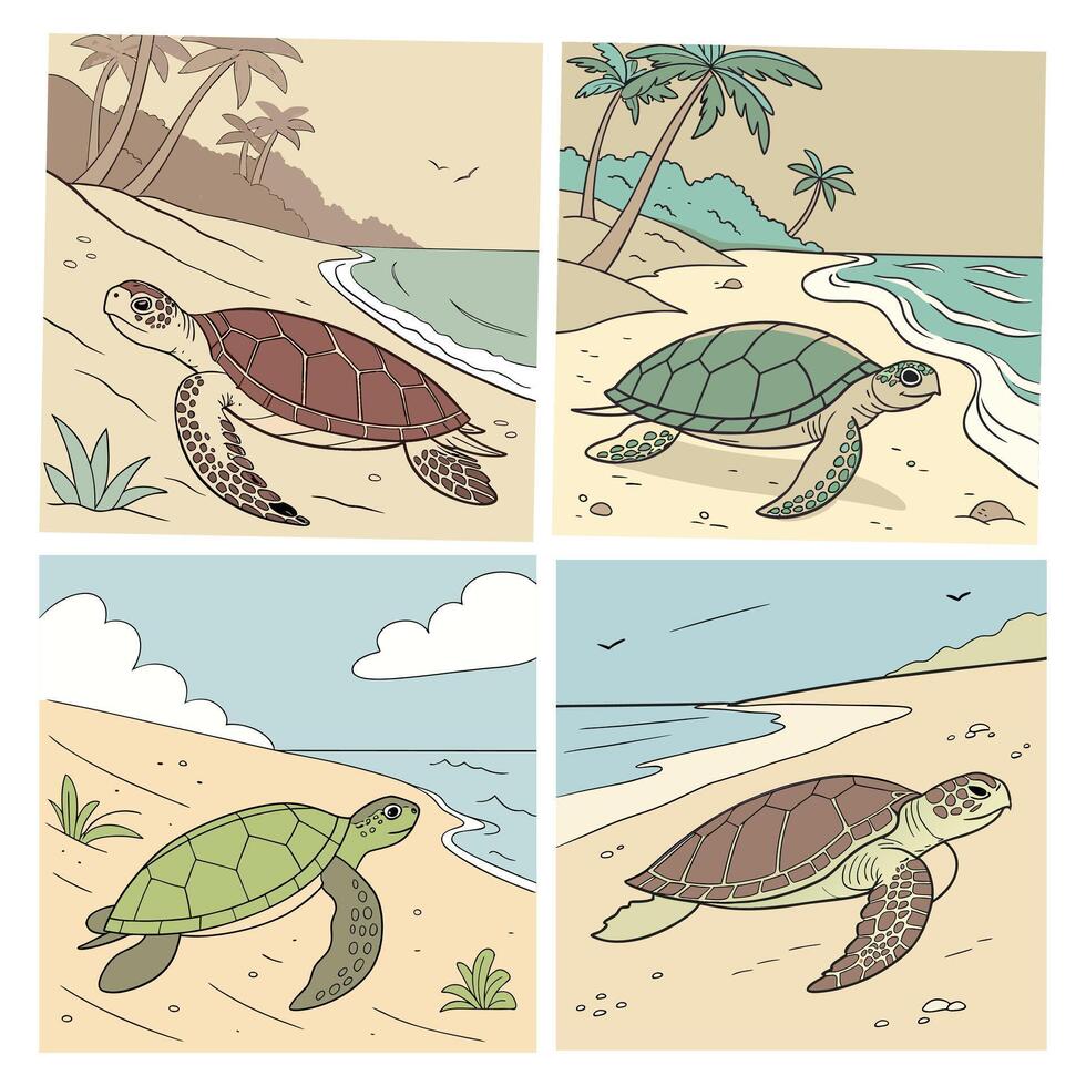 turtle cartoon animal vector