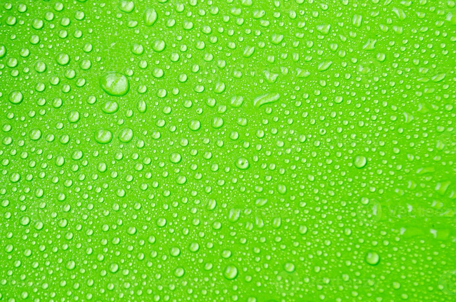 Detailed View of Droplets Scattered on a Lush Green Canvas photo