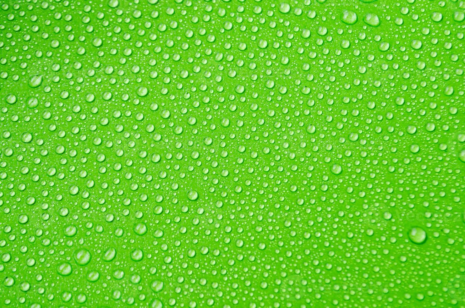 Close-Up View of Water Droplets on a Green Background photo