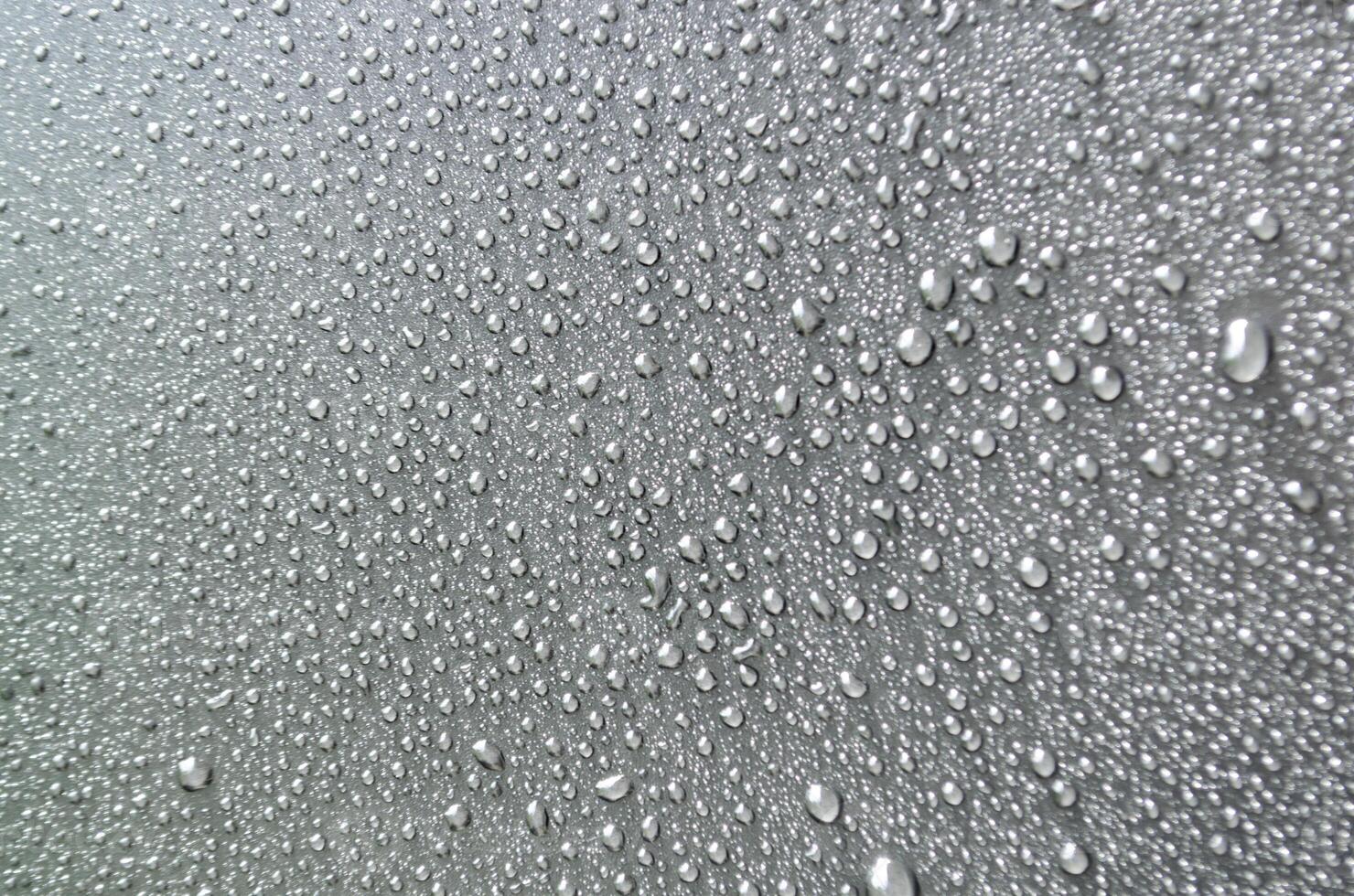 Shimmering Water Droplets on a Deep, Dark Canvas photo