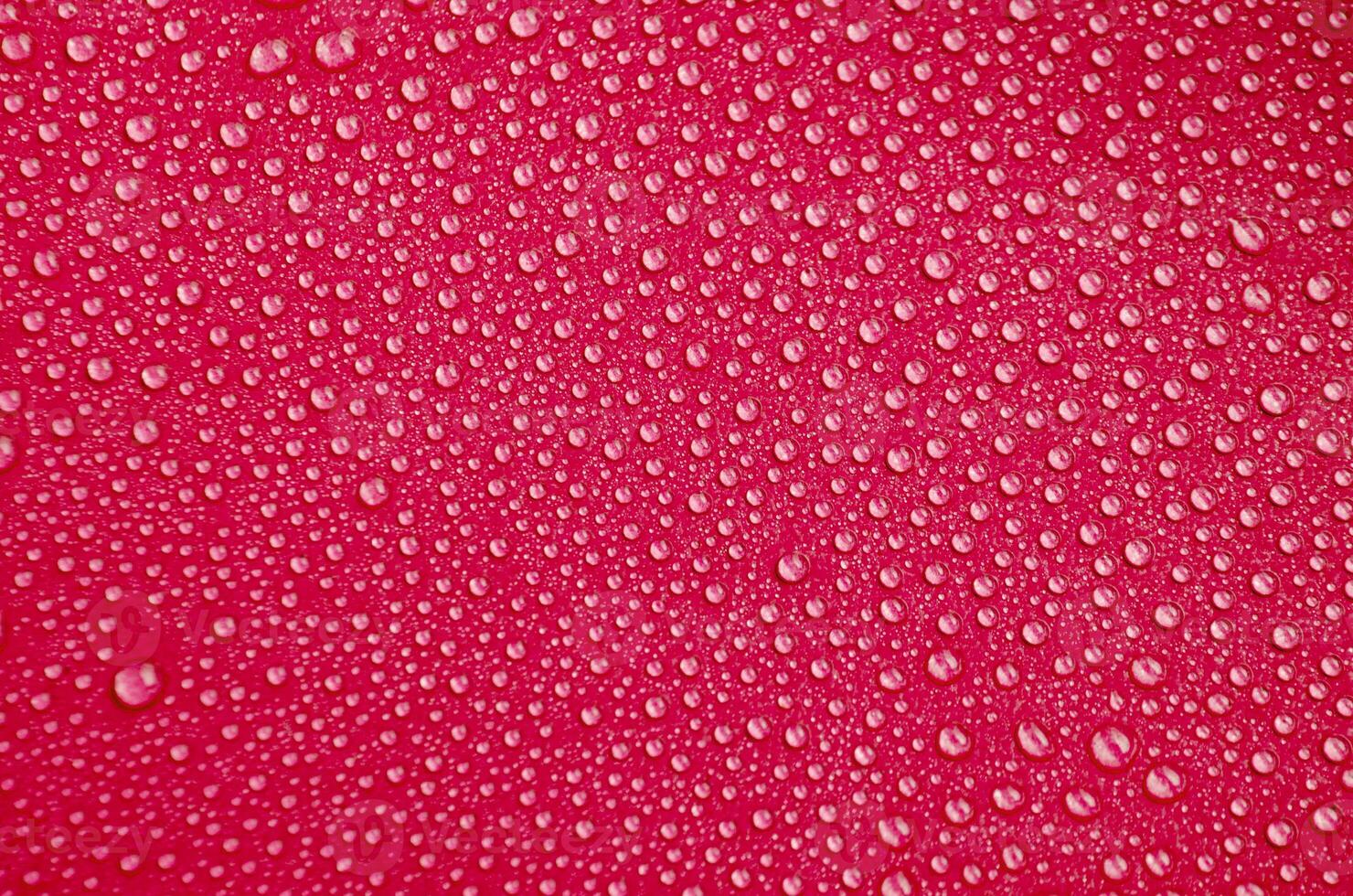 Detailed View of Droplets Resting on Red Background photo