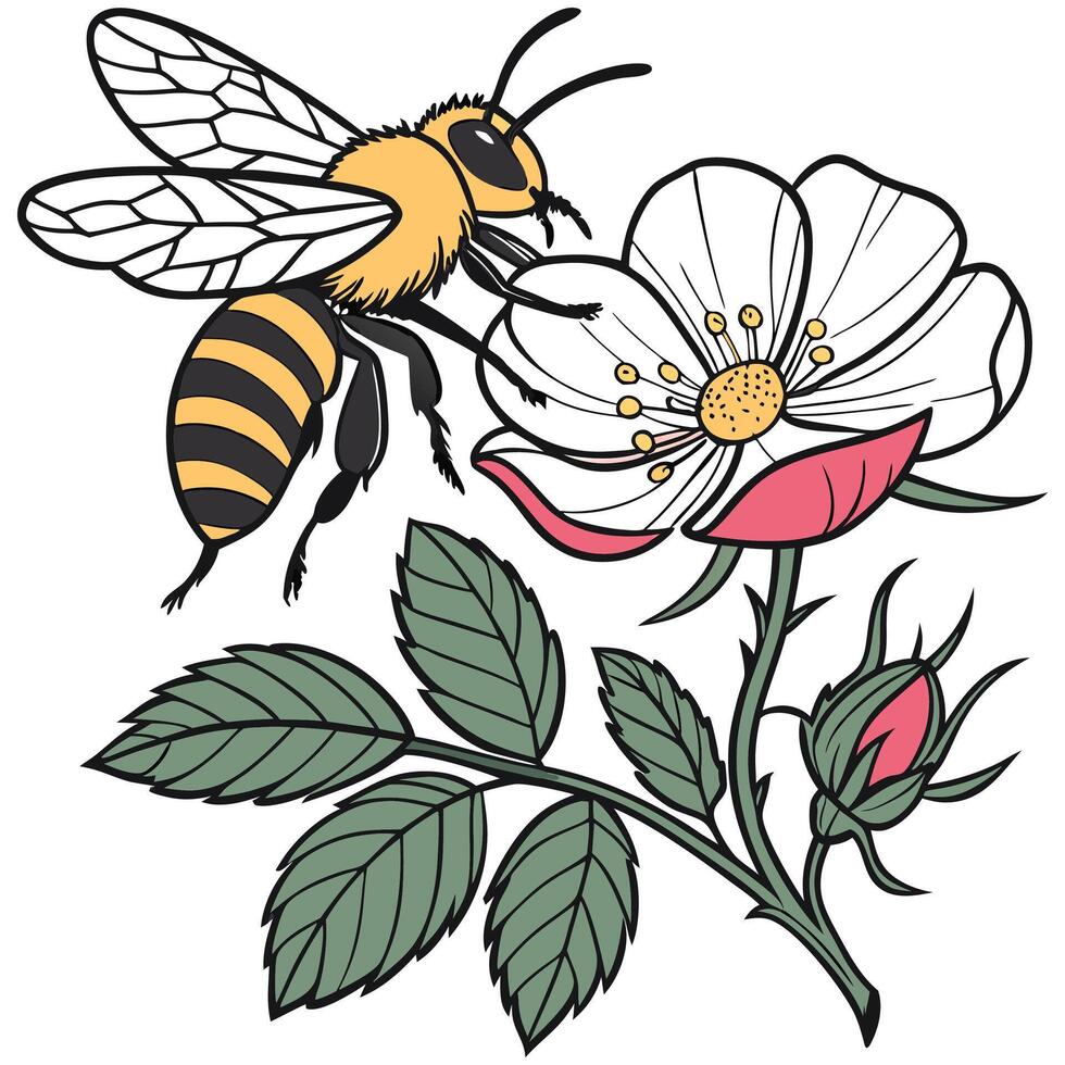 Bee and flower illustration vector