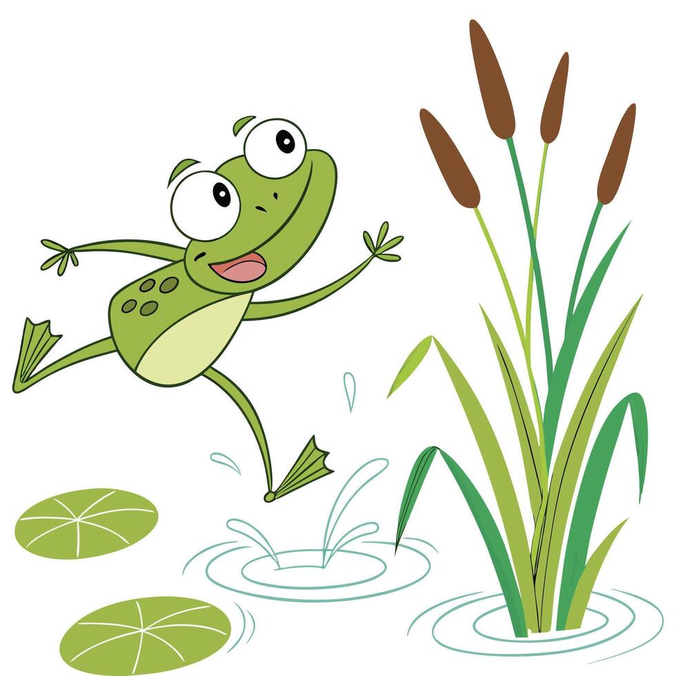 Frog jumping in the water with reeds and grass vector