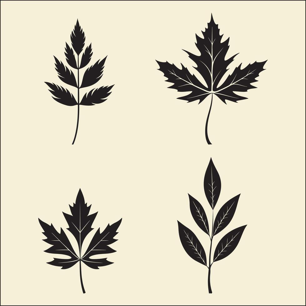 Single Leaf Silhouette Leaf Nature vector