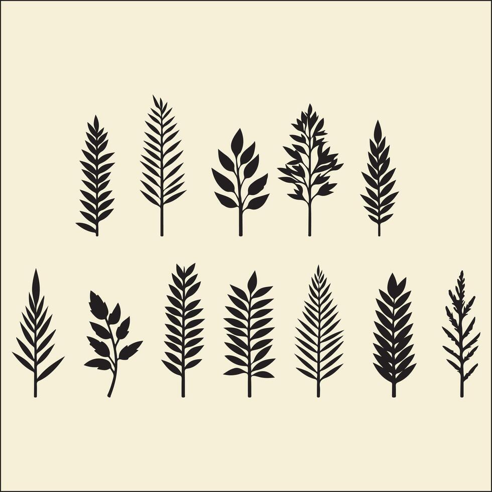 Pine Tree Leaf set Silhouette, Pine Tree vector