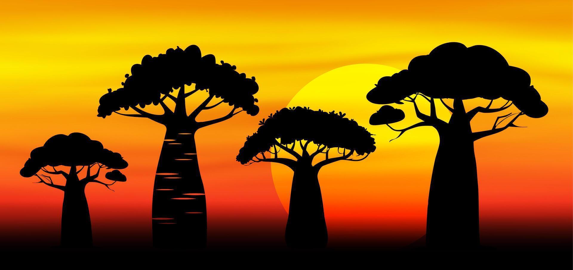 Sunset in Africa, savanna landscape background. Baobab trees silhouette. Nature, exotic plant, African banner illustration vector