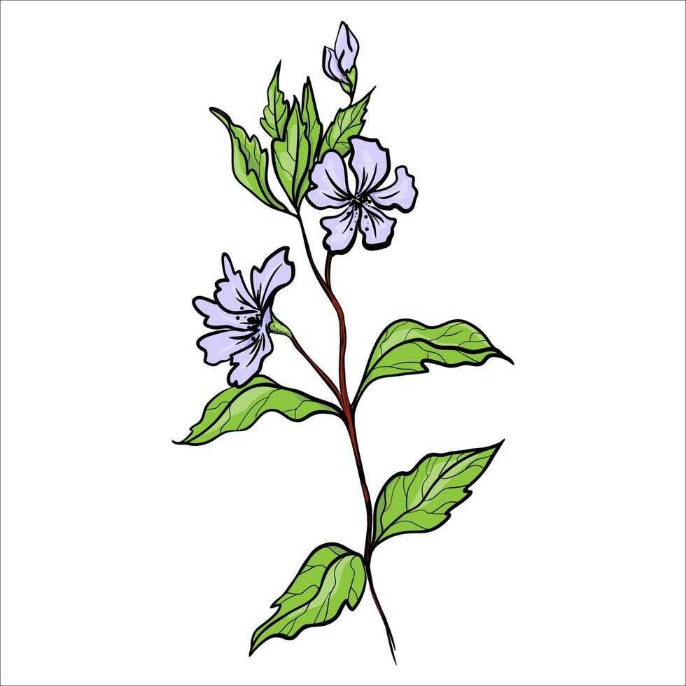 Hand Drawn Cute Flower Branch vector