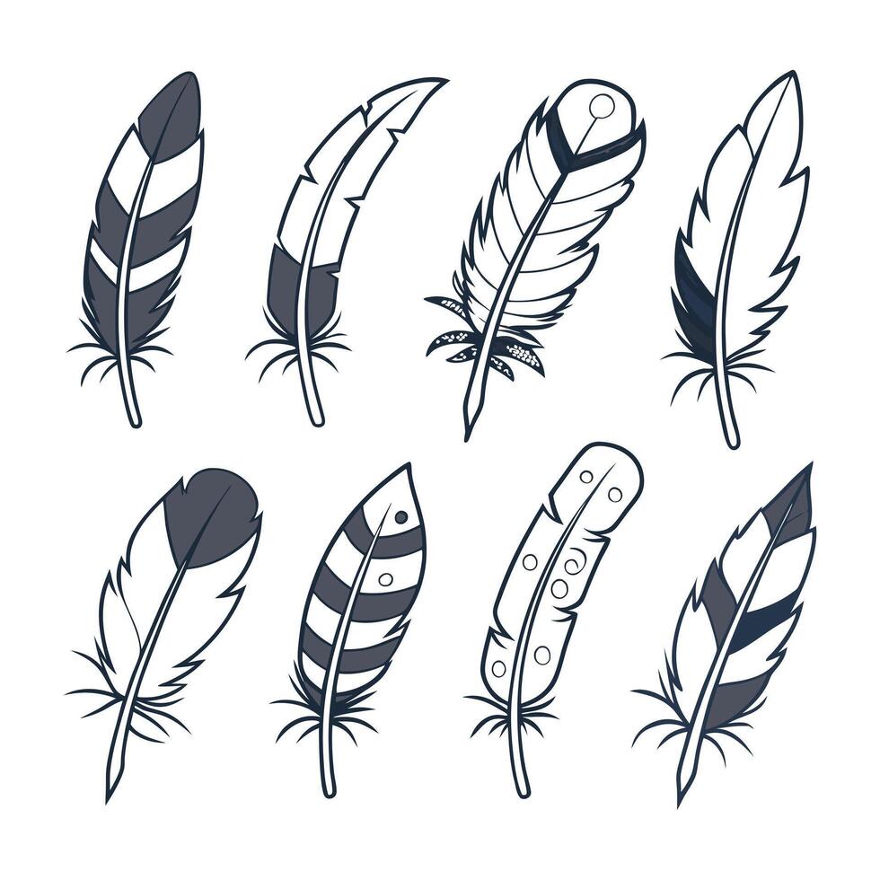 Feather Set of Bird Silhouette illustration vector