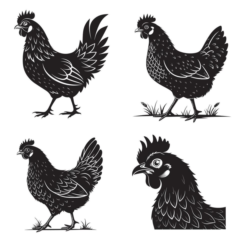 set of chicken silhouettes vector