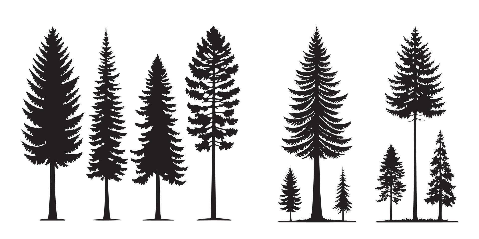 conifer tree silhouettes set vector