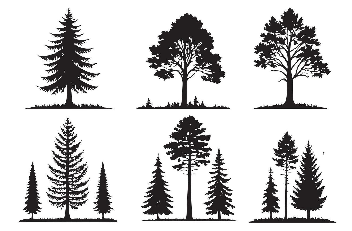 Conifer tree silhouettes 6 set vector