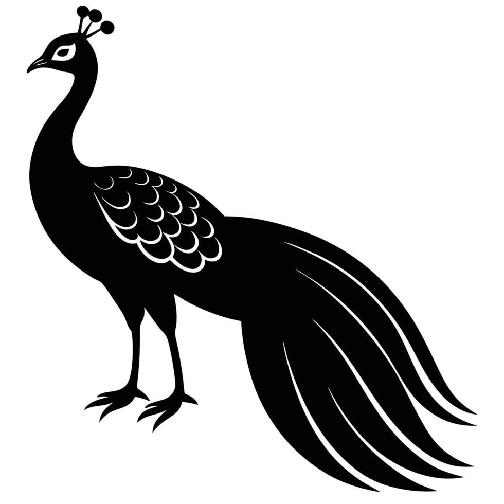 Black Peacock Silhouette Against a White Canvas vector