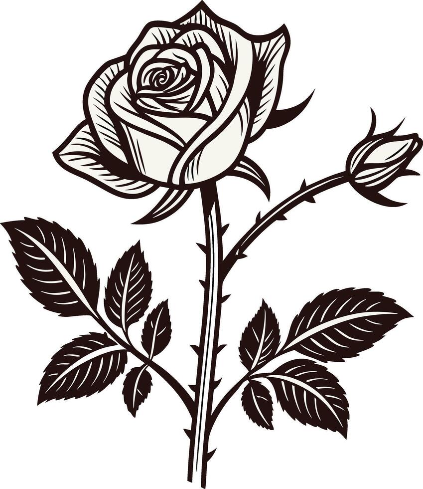 Decorative Rose Flower Isolated Illustration vector