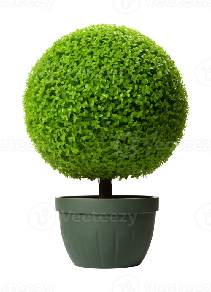 Sphere Topiary Isolated on Transparent Background png
