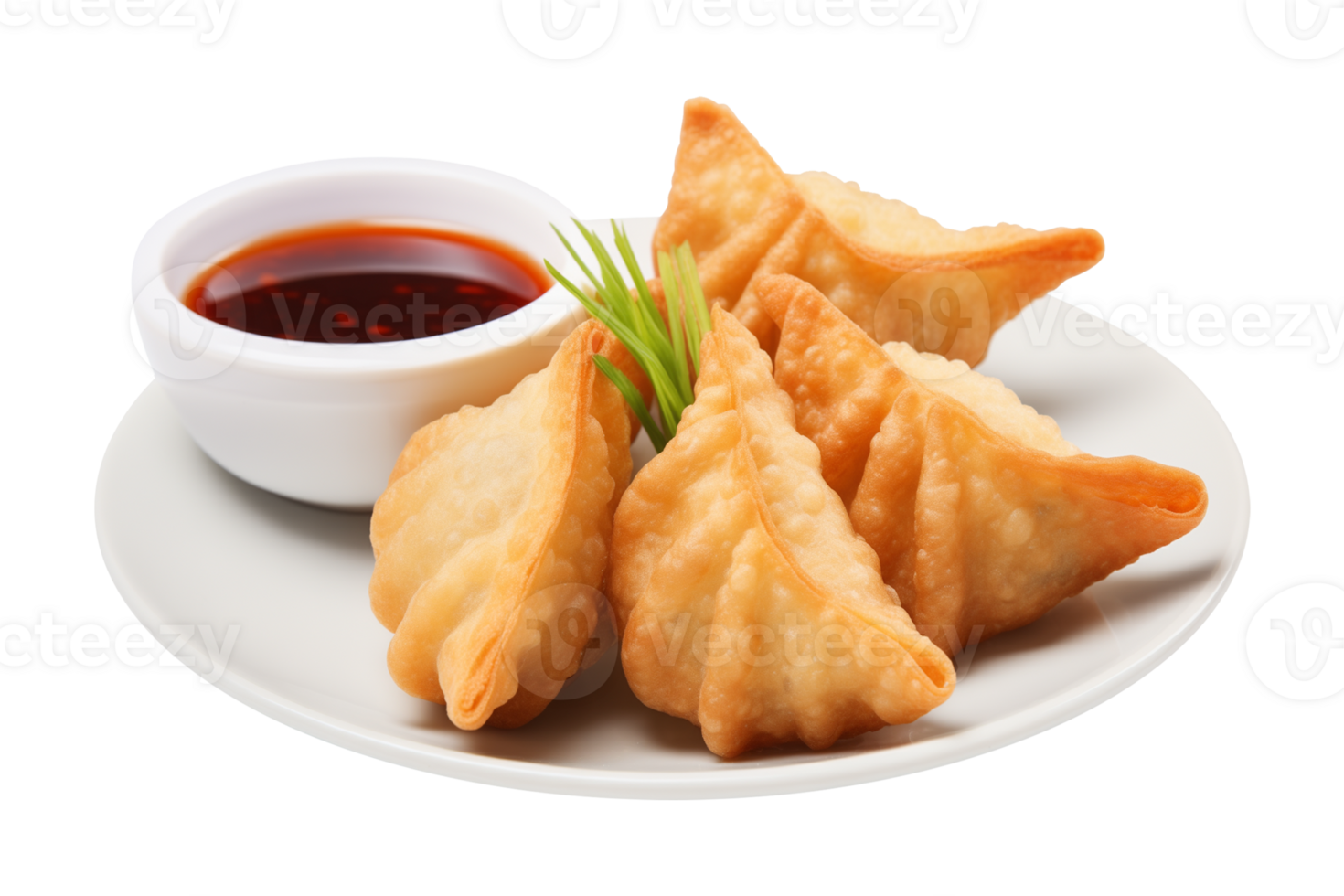 Fried Dumplings with Soy Sauce Isolated on Transparent Background png
