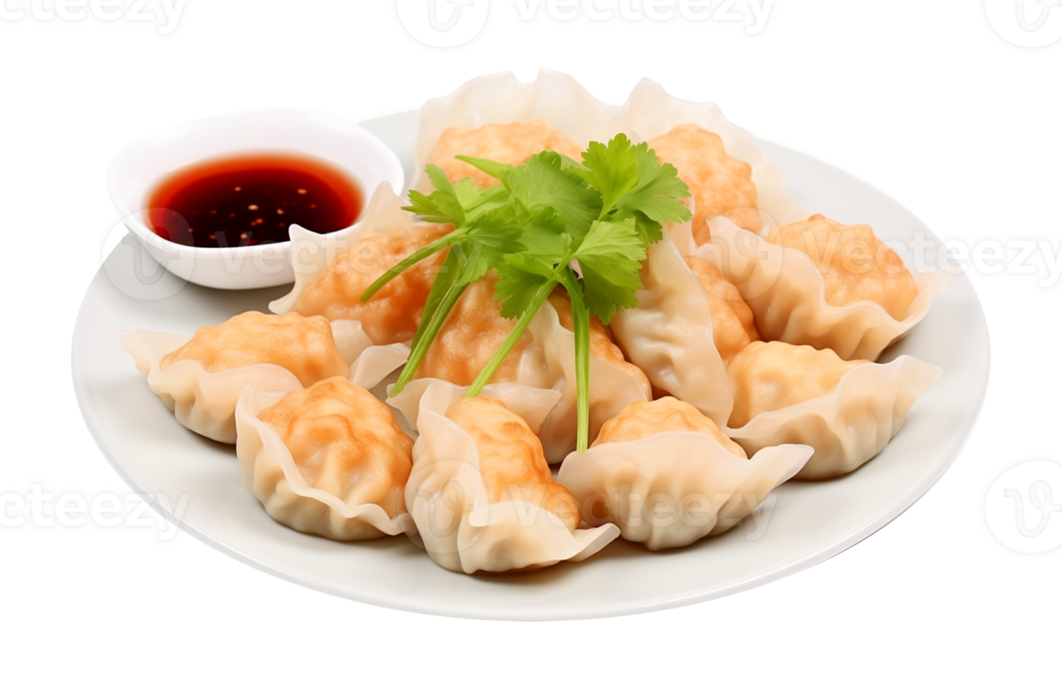 Dumplings With Soy Sauce Isolated on Transparent Background png