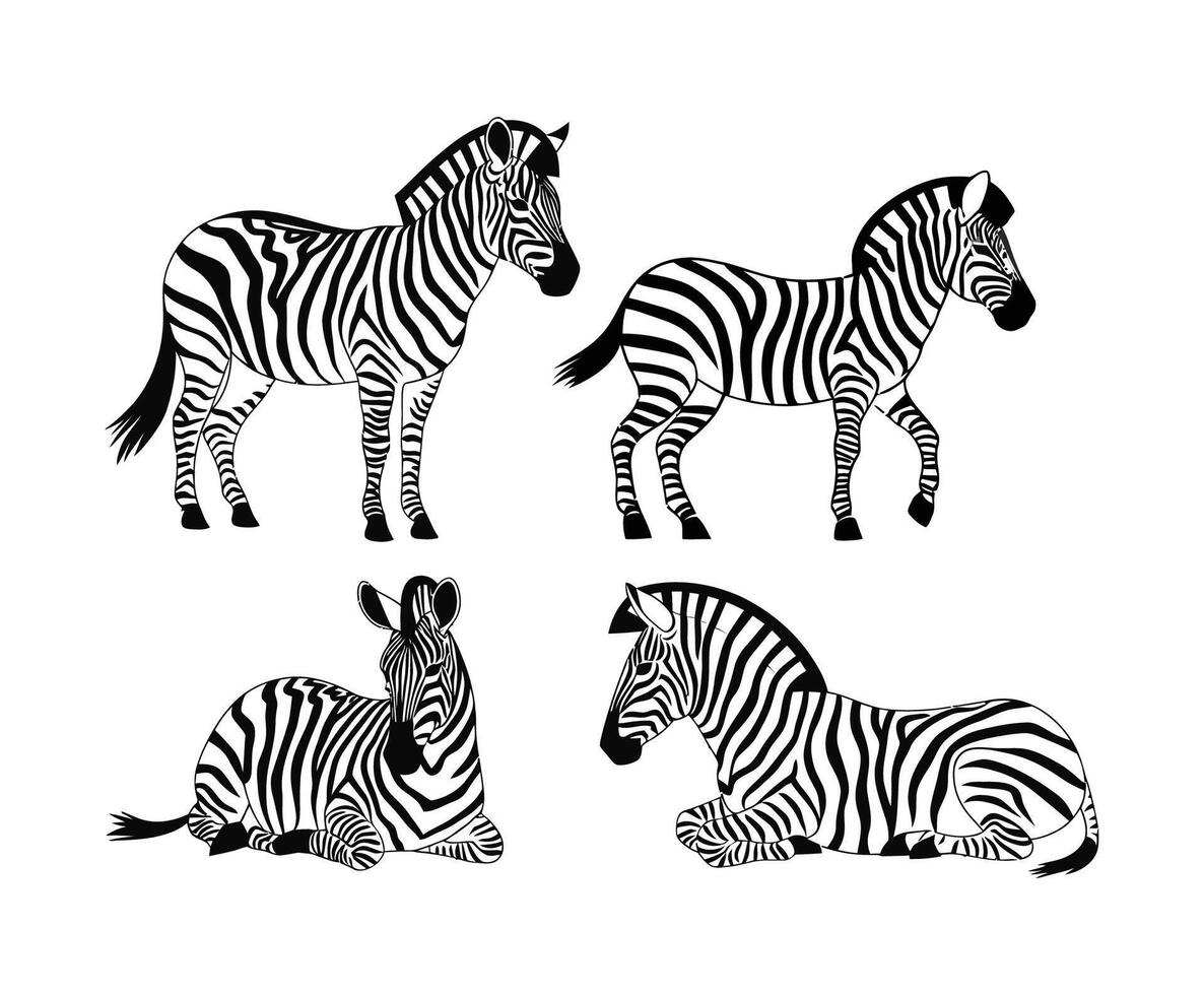 Modern Zebra Silhouette Collection Template vector