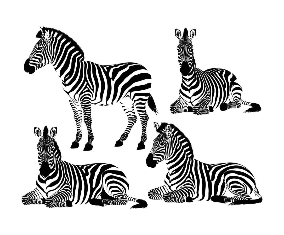 Stunning Zebra Silhouette Collection Template Design vector