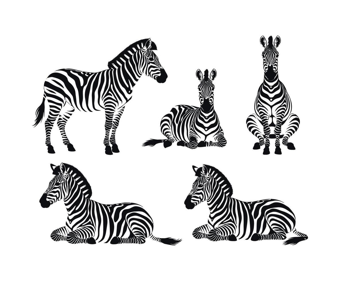 Zebra Silhouette Collection Template Animals Illustration Template vector
