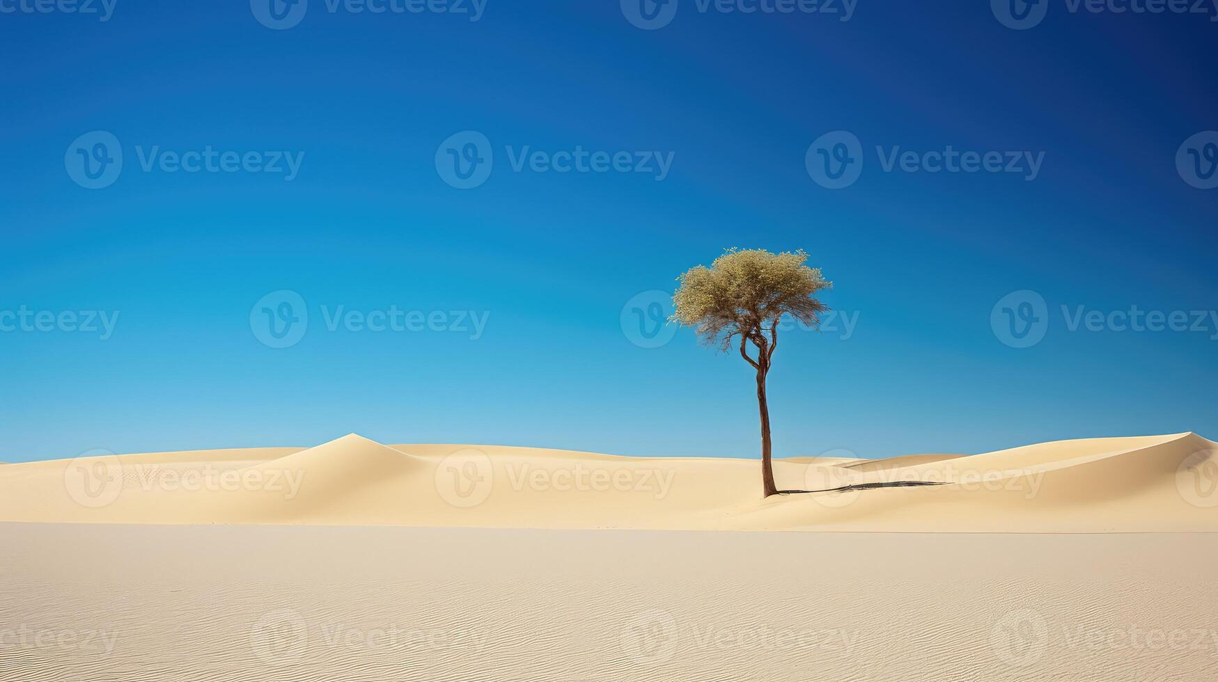 landscape single palm tree photo
